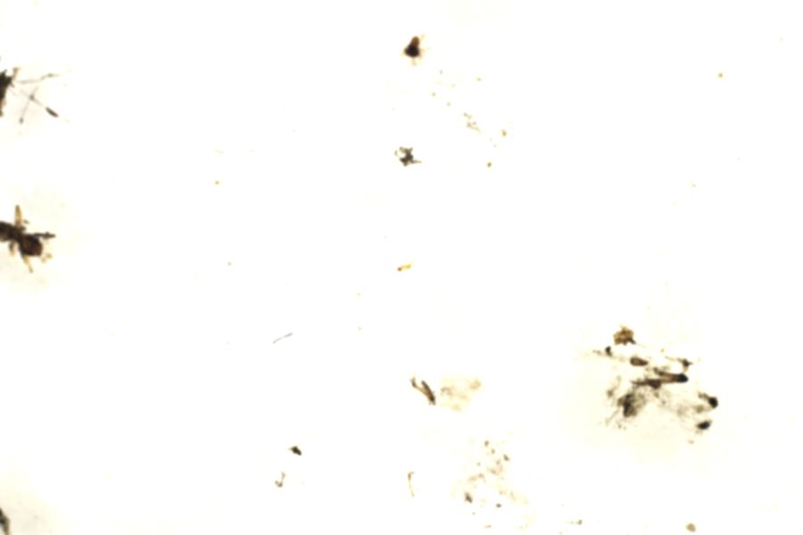 Image 45